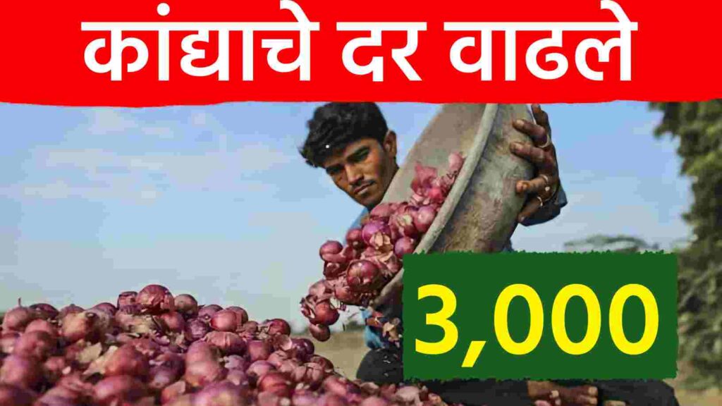 कांदा बाजारात तेजीचा भडका! दरांनी ओलांडला ४००० चा टप्पा, शेतकऱ्यांच्या डोळ्यात आनंदाश्रू!