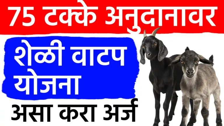 ७५% अनुदानावर मिळणार शेळी गट! नानाजी देशमुख कृषी संजीवनी प्रकल्पाचा मोठा निर्णय