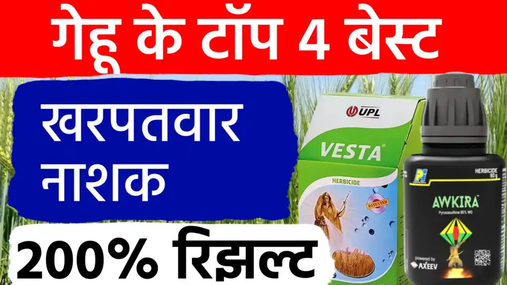 गेहुं के लिए 4 टाँप खनपतवार नाशक ; एक स्प्रे मे जड से खतम